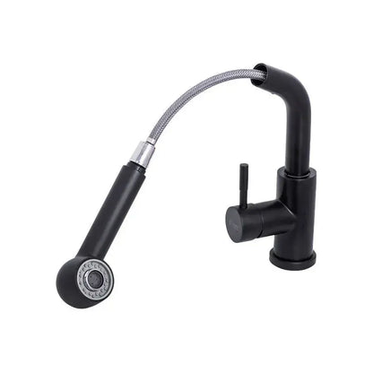 Robinet de cuisine avec douche extractible, acier inoxydable SUS304, noir, HS004