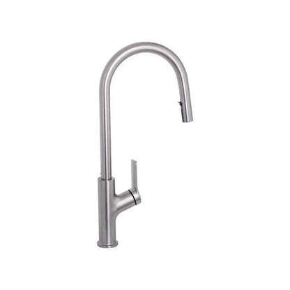 Robinet de cuisine avec douche extractible, acier inoxydable SUS304, satiné, FJ5542