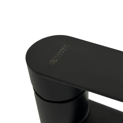 Robinet d'évier en acier inoxydable noir ZY1001