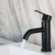 Robinet d'évier, Acier inoxydable SUS304, Noir, HS/LY007