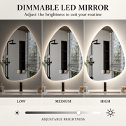Miroir LED Organique 40x60cm, Lumière Froide, Système Antibuée, Intensité Variable