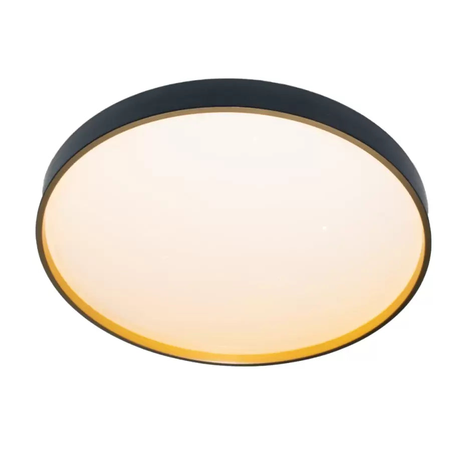 Plafonnier LED Fantas 24W, Rond, Abs, Blanc et Noir