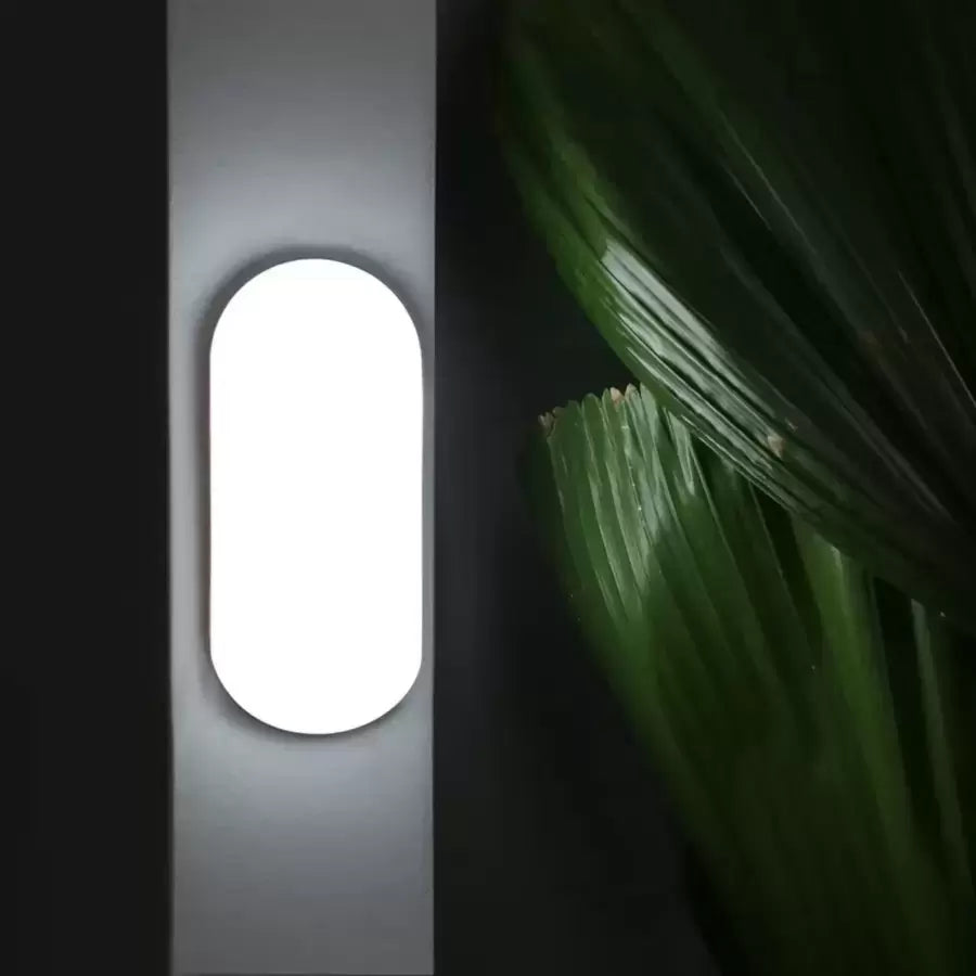 Plafonnier LED FANTAS Ovale 8W 17cm Blanc Extérieur IP65