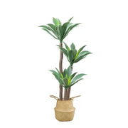 Plante artificielle Dracaena fragrans, sans Pot, 180cm Vert