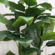 Plante Artificielle Banane Japonaise, 4 Branches, sans Pot 180cm Vert